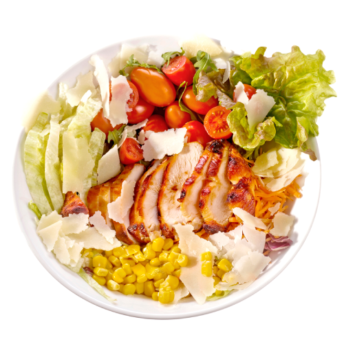  Pollo 